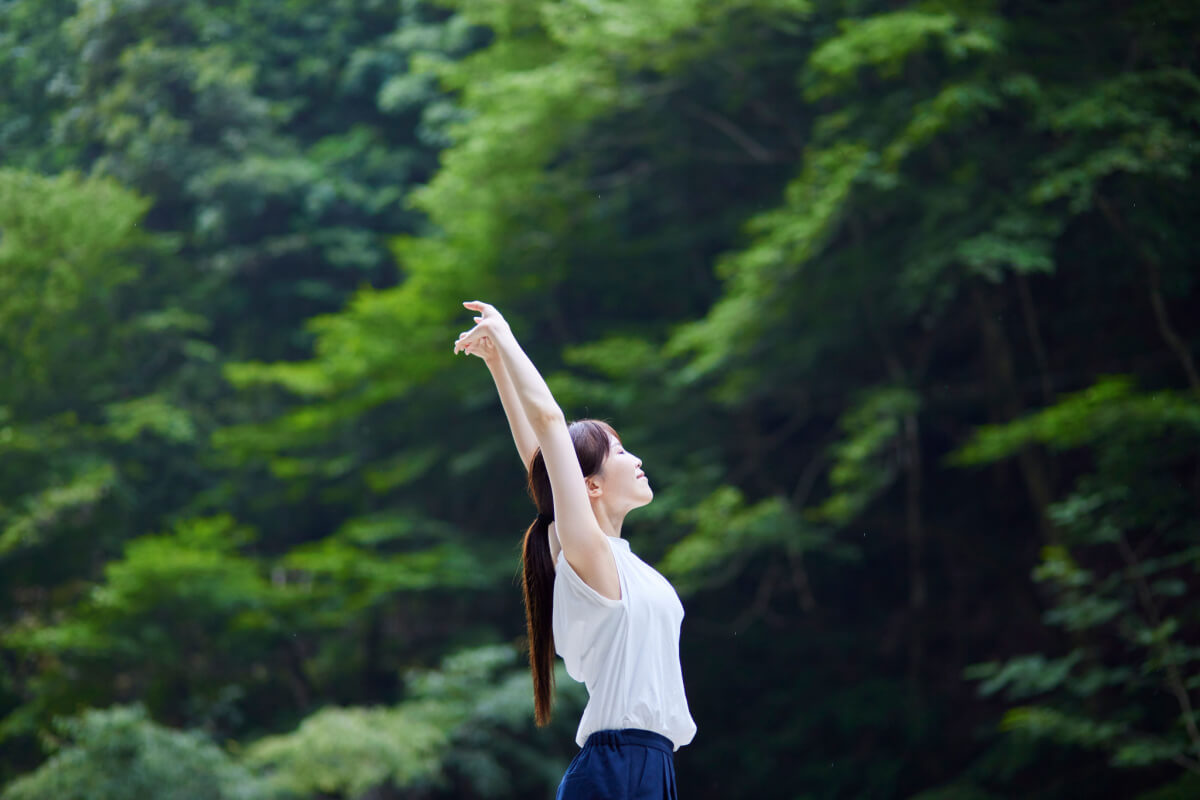 Banhos de Floresta: O Poder da Natureza no Combate à Ansiedade e ao Estresse
