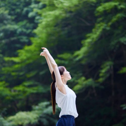 Banhos de Floresta: O Poder da Natureza no Combate à Ansiedade e ao Estresse