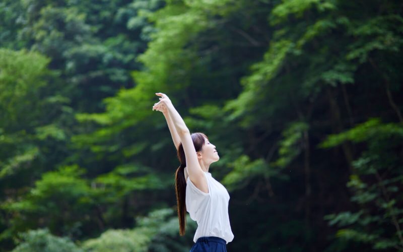 Banhos de Floresta: O Poder da Natureza no Combate à Ansiedade e ao Estresse