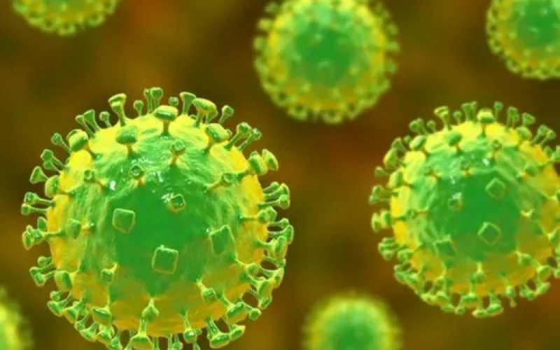 O que e Nipah: quais são as chances de vírus mortal chegar ao Brasil ou causar nova pandemia?